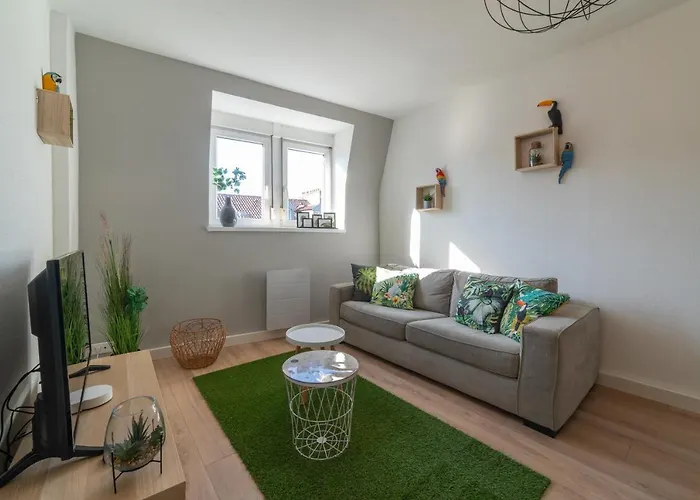 ✮✮✮ Les Gold Et Amazonie ✮✮✮ Appartement